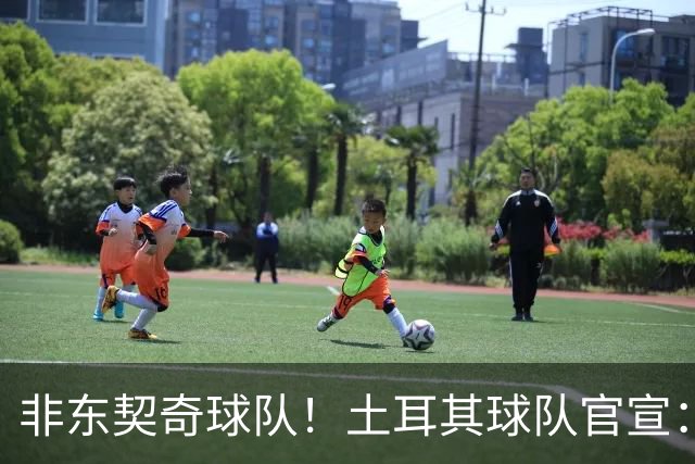 非东契奇球队！土耳其球队官宣：前中国男篮主帅乔尔杰维奇任主帅